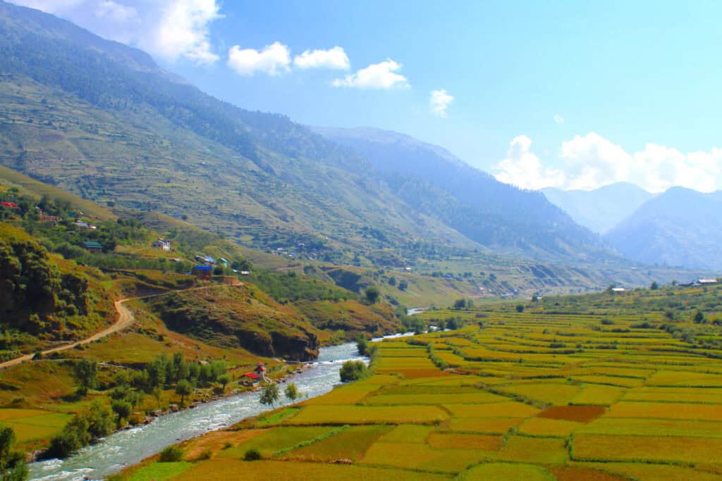 Reisterrassen und ein Fluss im Distrikt Dolpa im Westen Nepals – ein eindrucksvolles Beispiel für die landwirtschaftlich geprägte Landschaft.