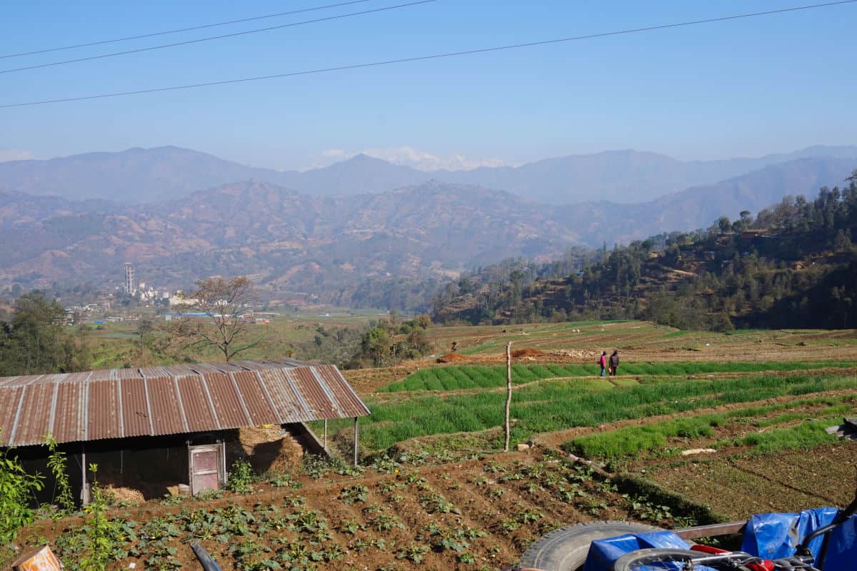 Terrassierte Felder und Hügellandschaft in Nepal – Geografie und landwirtschaftliche Nutzung
