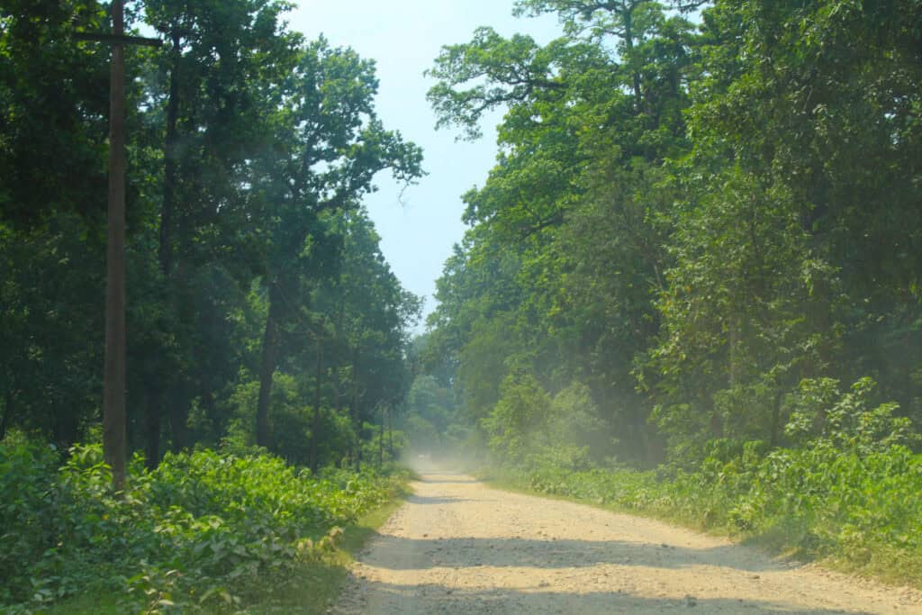 Staubige Straße im Terai Nepals – subtropisches Klima im Tiefland des Südens