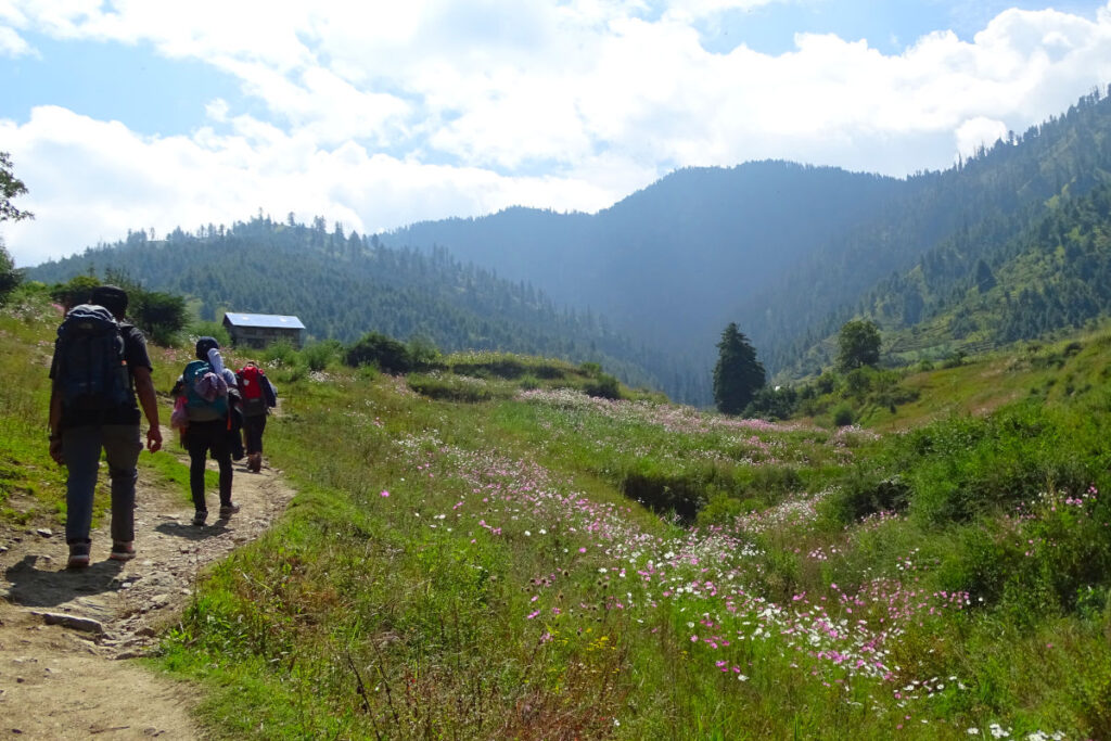 Menschen beim Trekking durch grüne Berglandschaft im Distrikt Dolpa in Nepal