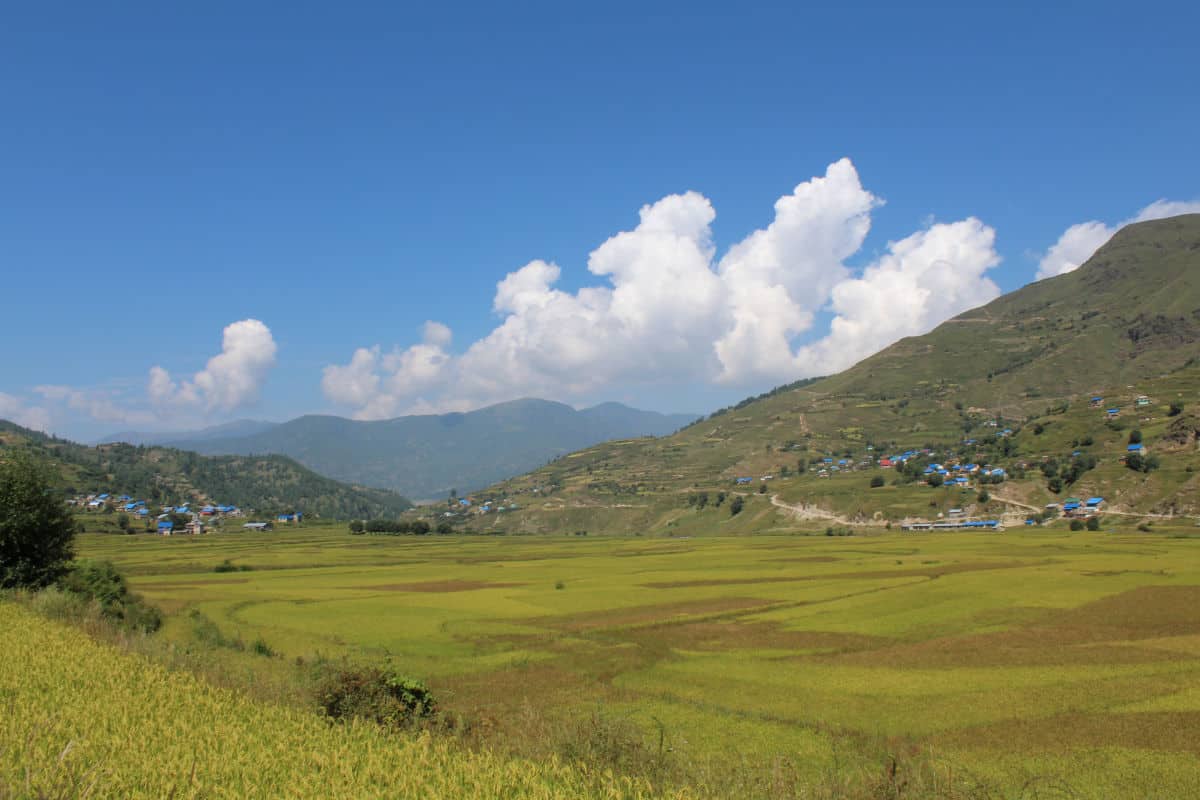 Grüne Felder und Hügellandschaft in Nepal bei klarem Wetter