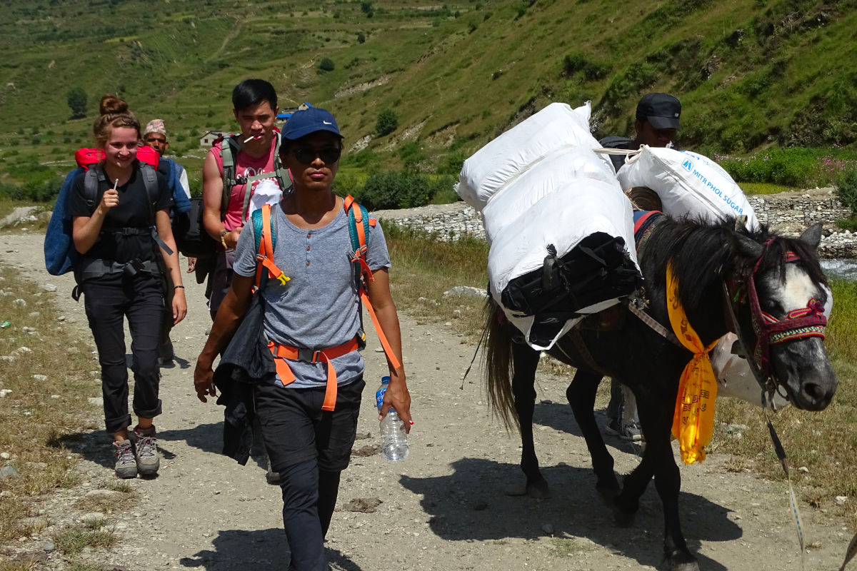 Trekkinggruppe mit Rucksäcken, Portern und Lasttier auf einem Weg im nepalesischen Bergland