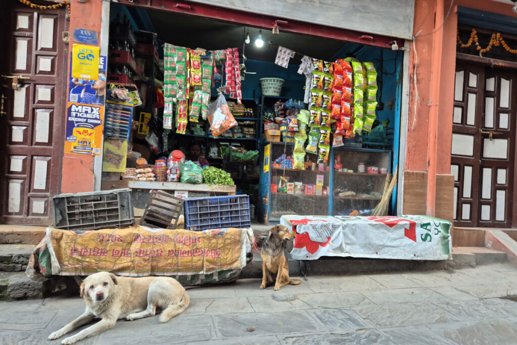 Kleiner Laden in Nepal – Bezahlen im Alltag Kleiner Straßenladen in Nepal mit Waren und Hunden davor