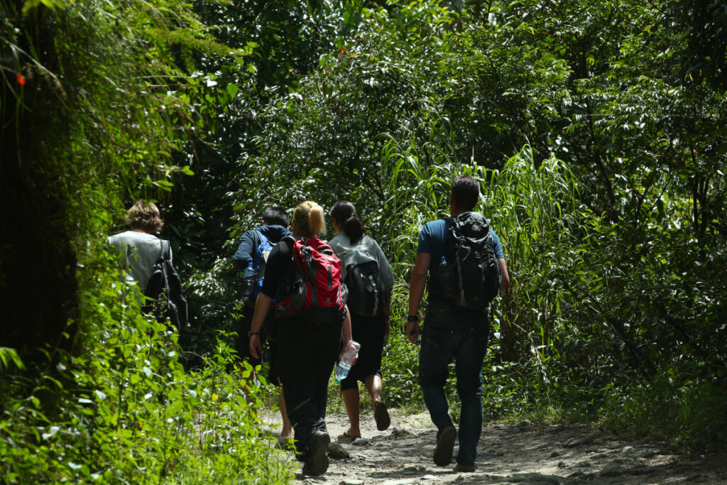 Wandern im Shivapuri-Nagarjun Nationalpark Wandergruppe auf einem Waldweg im Shivapuri-Nagarjun Nationalpark