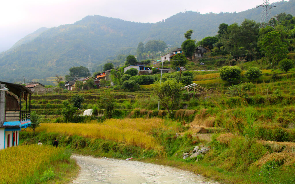 Dhampus – Bergdorf in der Annapurna-Region Terrassenfelder, Häuser und ein Weg im Bergdorf Dhampus oberhalb von Pokhara.